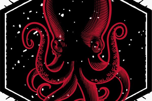 Kraken 19 at