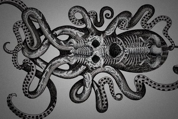 Kraken 6 at