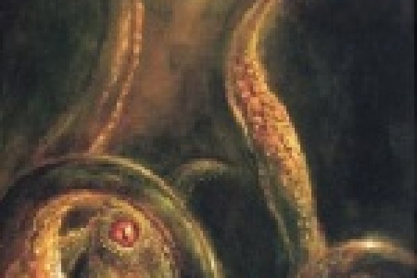 Solaris даркнет
