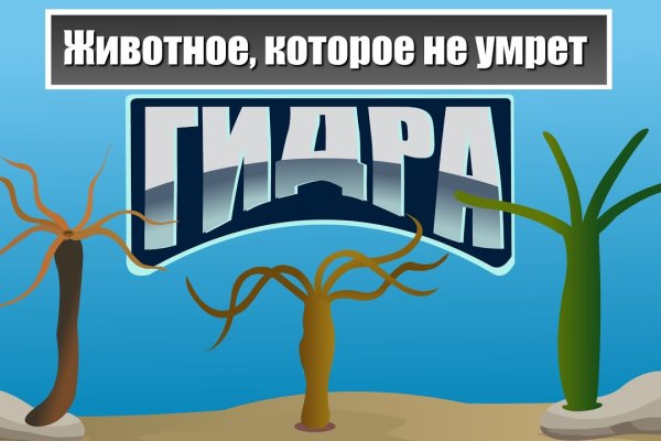 Что такое кракен маркетплейс